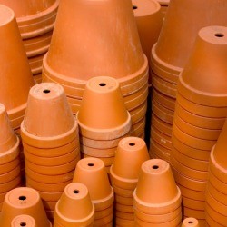 Terra Cotta Pots