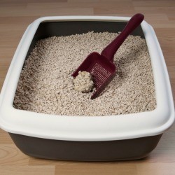Litter Box