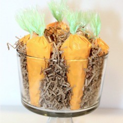 Carrot Treat Bags 