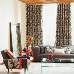 Curtains and Rug
