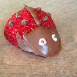 Lady Bug Strawberries
