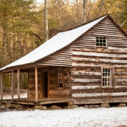 rustic wood cabin