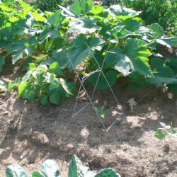 campaign sign frames for staking climbing plants