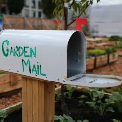 maibox in garden