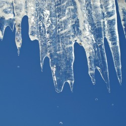 Winter Ice