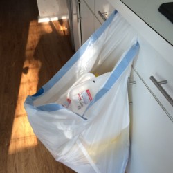 Third Hand for the Trash Bag