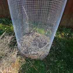 Building a Potato Cage 