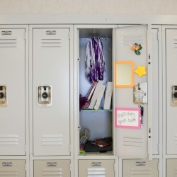 Uses for Locker Organizers
