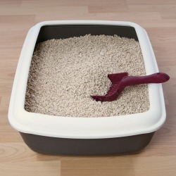 litterbox in kids' bathroom.