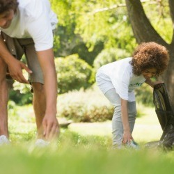 people working on yard chores