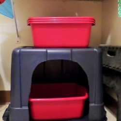 Rubbermaid bin to cover litter box
