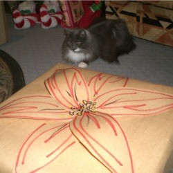 poinsettia paper flower on package