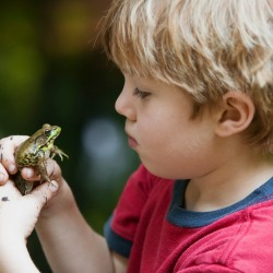 Boy with Frog