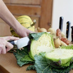 Slicing Cabbage