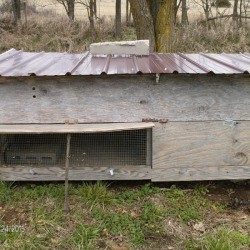 A chicken coop made from recycled materials.