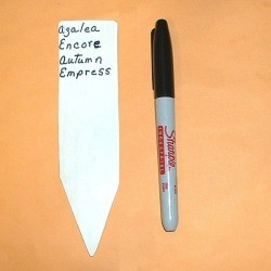 vinyl plant marker and Sharpie pen
