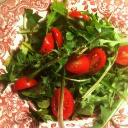 salad serving