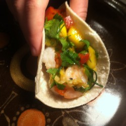 shrimp tacos