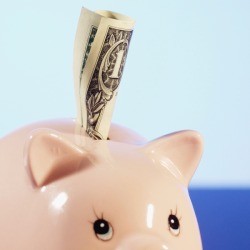 My Frugal Wife!