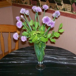 A bouquet of chives and lovage.