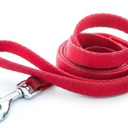 pink leash