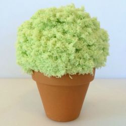 Pom Pom Plant Candy Dish