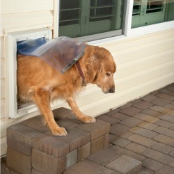 dog going out dog door