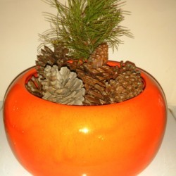 finished centerpiece