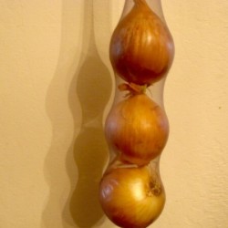 hanging onions