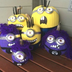 Minion Pumpkins