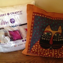 pillow and new pillow form ready to repair