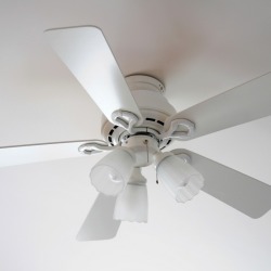 Ceiling Fan