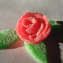Spice Drop Roses