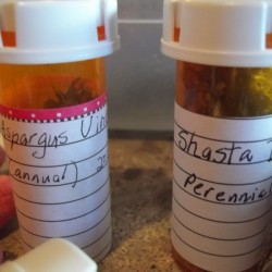 labeled bottles of seeds