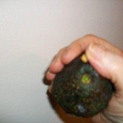 Check if Your Avocado is Ripe