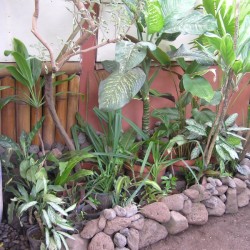 finished rock wall around flower bed