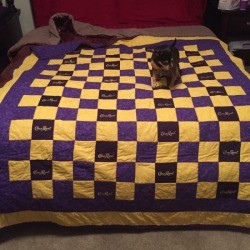 Crown Royal quilt on bed with puppy