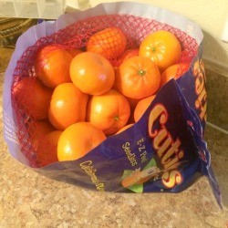 Storing Cuties in Their Bag