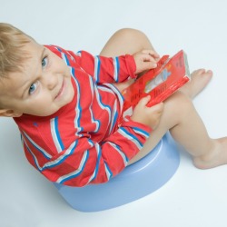 Toddler boy sitting on potty chair holding a book