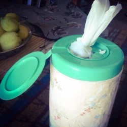 DIY Plastic Bag Dispenser