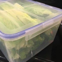 Cleaning and Storing Romaine Hearts
