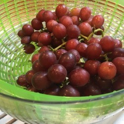 Salad Spinner to Clean Grapes