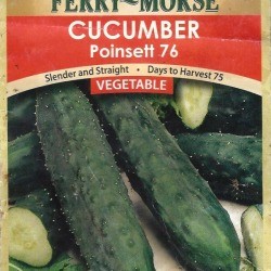 cucumber seed envelop