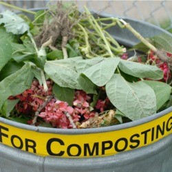 Can full of compostables labelled 