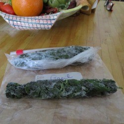 frozen basil