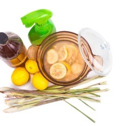Apple cider vinegar, lemongrass, lemons for natural mosquito repellant