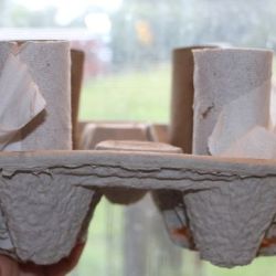 toilet paper rolls in drink carrier