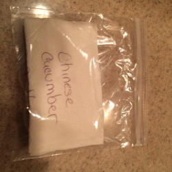 cucumber seeds in plastic bag