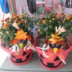 two pumpkin pots
