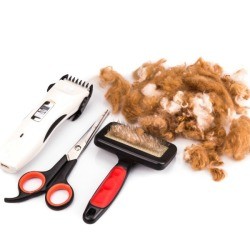 Dog brush, scissors, razor, and dog fur